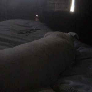 Meet your Posher, Daniel